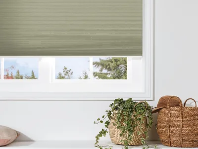 Honeycomb Blinds